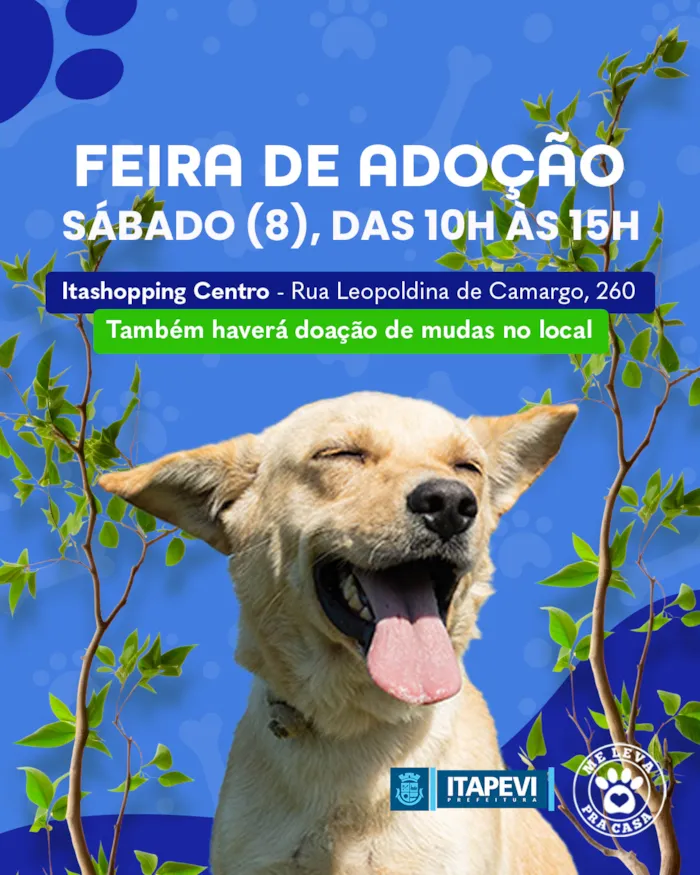 Participe da Feira de Adoção de Cães e Gatos “Me Leva pra Casa” em Itapevi no dia 8 de Novembro de 2025, das 10h às 15h, no Ita Shopping Centro. Adote um amigo e ganhe mudas de plantas!