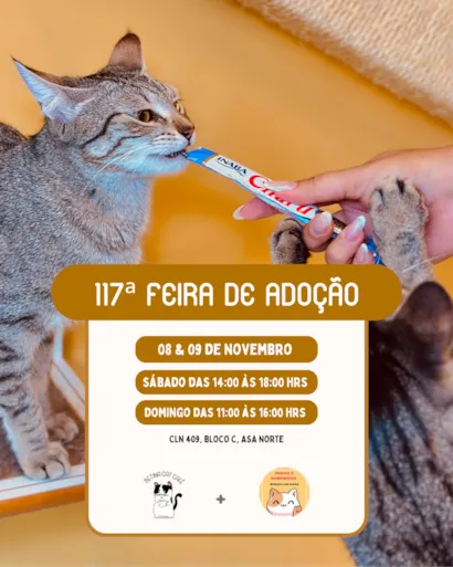 117ª Feira de Adoção de Gatos