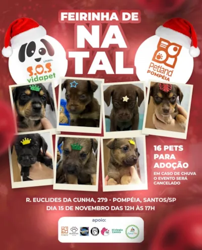 Feirinha de Adoção de Natal