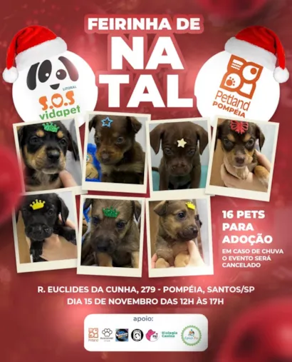 Feirinha de Adoção de Natal em Santos/SP no dia 15/11/2025, das 12h às 17h na Petland Pompeia. Adote um amigo e traga doações para animais resgatados.