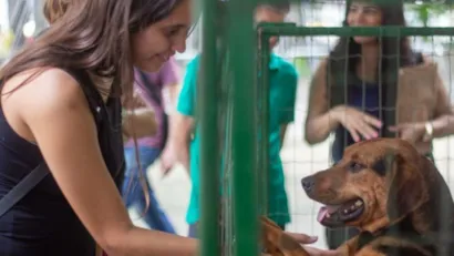 Evento de adoção de cães 'Me Adota Aí!' acontece neste sábado (8) no Parque Halfeld, Juiz de Fora. Vacinação e microchipagem gratuitas também serão oferecidas.