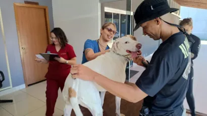 Adote cães treinados e cuidados em Goiânia em dezembro! Feira de adoção no Araguaia Shopping. Cães adestrados, castrados e com saúde em dia.