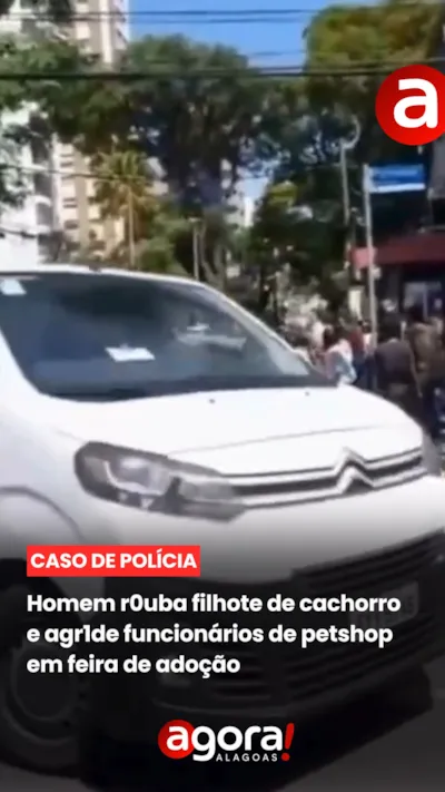 Homem Rouba Filhote em Feira de Adoção e Agressão Ocorre em Petshop