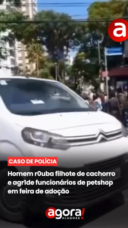 Incidente em feira de adoção: homem rouba filhote e agride funcionários de petshop em São Paulo. Cachorro foi recuperado e adotado.