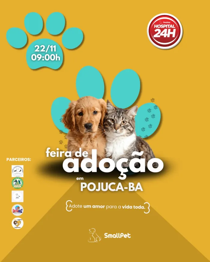 Feira de Adoção Small Pet em Pojuca com cães e gatos disponíveis para adoção. Adote um amigo e espalhe amor!