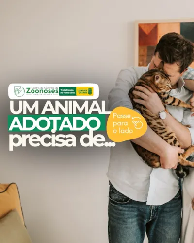 Um animal adotado precisa de...