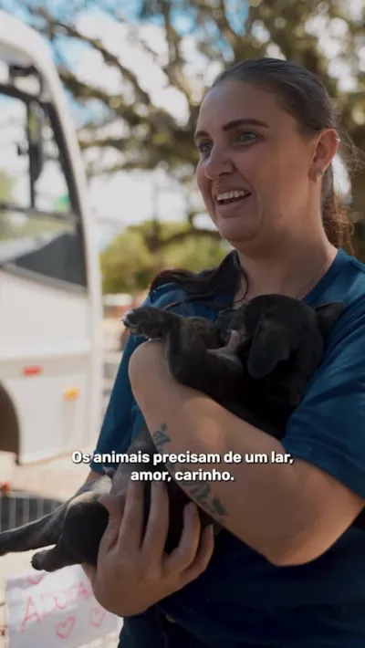 Feira de Adoção de Animais em Viamão