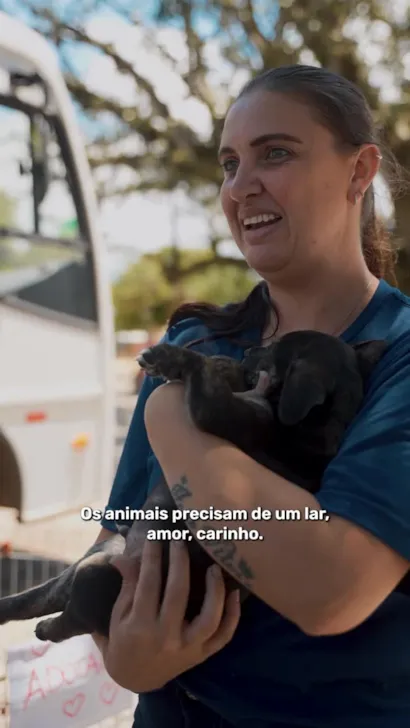 Feira de Adoção de Animais em Viamão