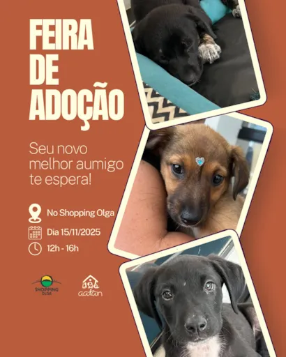 Feira de adoção de animais em Sorocaba no dia 15/11/2025, das 12h às 16h, no Shopping Granja Olga. Adote um amigo e mude uma vida!