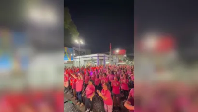 Adote um amigo em Suzano! Evento 'Baby, me Leva!' oferece 30 cães e gatos para adoção responsável no Parque Municipal Max Feffer neste domingo.