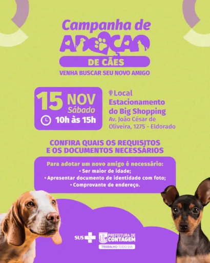 Campanha de Adoção de Cães