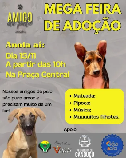 Mega Feirão de Adoção – Amigo de Pelo