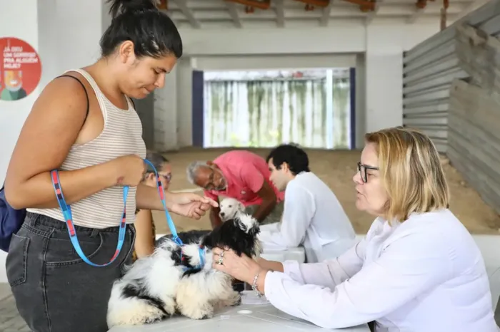 Dia de Saúde Animal: Vacinação, Adoção e Atendimento Veterinário no Compaz Miguel Arraes