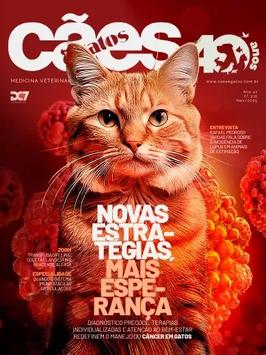 Participe do Hyppet Festival em São Conrado, Rio de Janeiro, no dia 29 de novembro. Evento com foco em bem-estar, adoção responsável e atividades para humanos e pets.