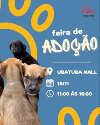 Feira de Adoção - Alma Vira-Lata
