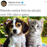 Feira de Adoção de Cães e Gatos em Ribeirão Preto
