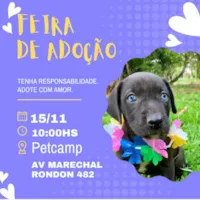 Feira de Adoção Amor de Bicho
