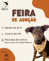 Participe da Feira de Adoção PROJETO ANIMALIZE no Sábado, 15 de Novembro, a partir das 14h, na Menosduz Sorveteria, Rua La Paz, 73. Encontre seu novo amigo!