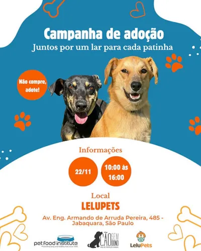 Campanha de adoção: Juntos por um lar para cada patinha