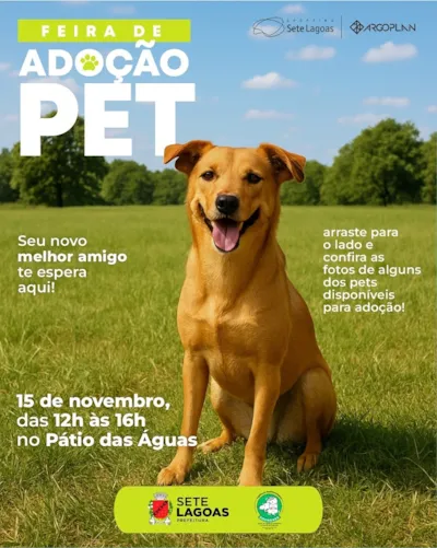 Feira de Adoção PET: Seu novo melhor amigo te espera!