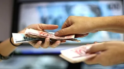 Feira de Adoção de cães e gatos, festival de comidas e bazar solidário na Orla de Petrolina neste sábado (15/11/2025). Apoie a causa animal!