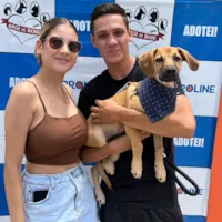 ADOÇÃO PUDIM: Uma Nova Família Cheia de Amor!