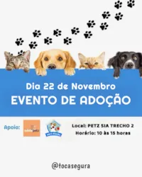 Participe do evento de adoção "Um Novo Começo" em Brasília no dia 22 de Novembro, na Petz SIA. Encontre um novo amigo e transforme vidas!