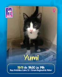 Evento de Adoção #AdoteUmFocinhoCarente com a SUIPA