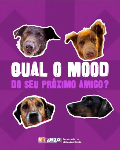 Feira de Adoção em Viamão amanhã! Venha encontrar seu novo melhor amigo na Praça Júlio de Castilhos. Pets vacinados, vermifugados e castrados.