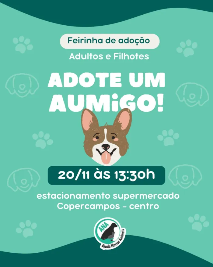 Feira de Adoção de Cães e Gatos em Campos Novos no dia 20/11 no Estacionamento do Supermercado Copercampos. Venha adotar seu novo amigo!