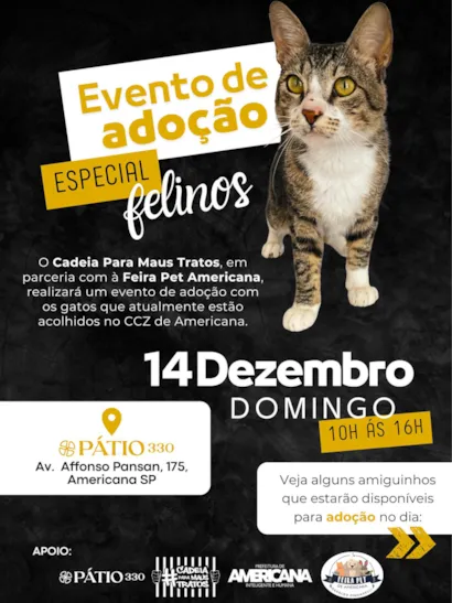 Evento Especial de Adoção de Felinos