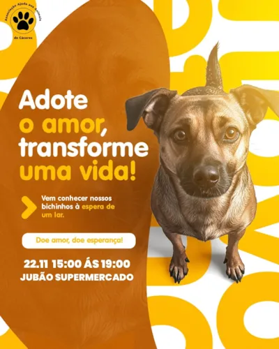 Participe da Feira de Adoção "Dê um lar, ganhe um amor!" em Cáceres/MT no dia 22 de novembro, das 15h às 19h, no Supermercado Jubão. Adote um amigo e transforme uma vida!