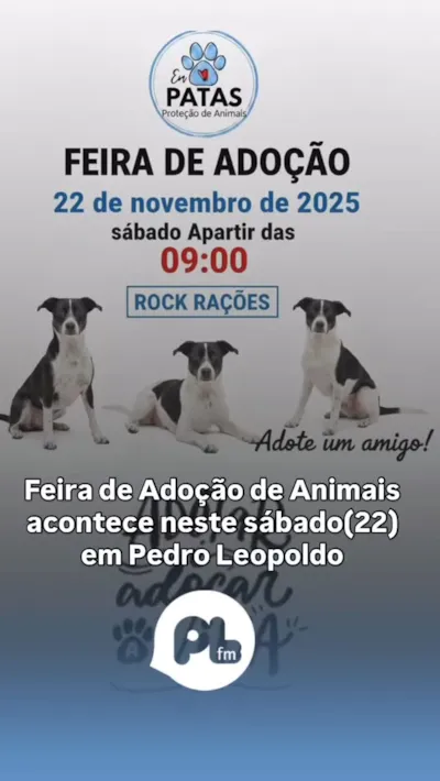 Feira de Adoção de Animais - Pedro Leopoldo