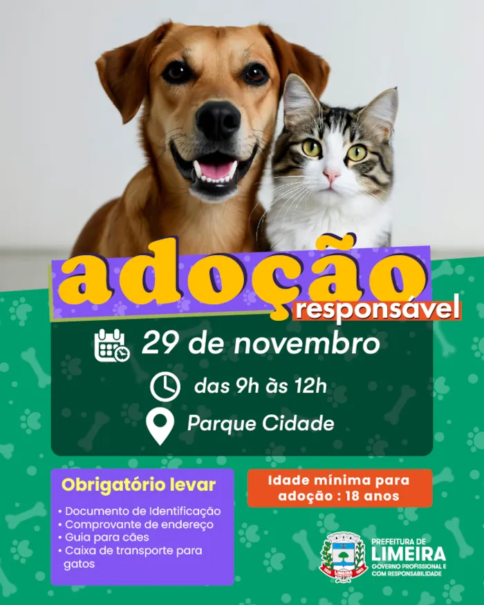 Adote cães e gatos no Parque Cidade em 29 de novembro, das 9h às 12h. Leve seus documentos e transforme a vida de um animal. Adoção consciente salva vidas!