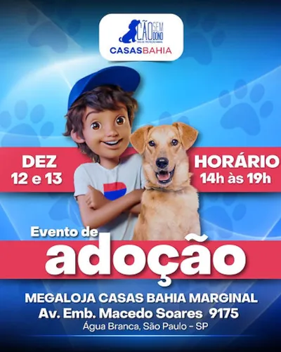 Adote um cão e transforme vidas. Dê uma oportunidade e permita que essa conexão especial toque sua vida. Feira de adoção em Dezembro.
