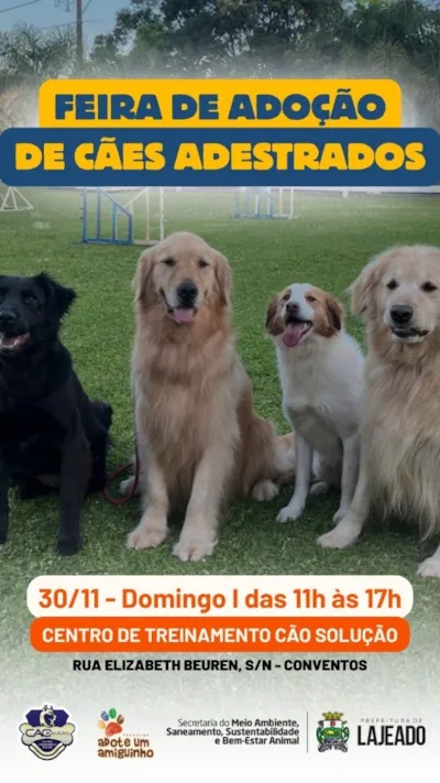 Feira de Adoção de Cães Adestrados