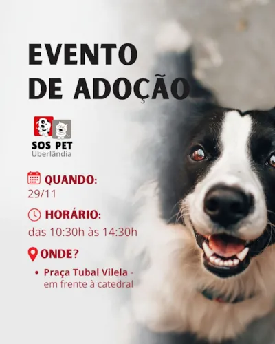 Evento de Adoção SOS PET Uberlândia