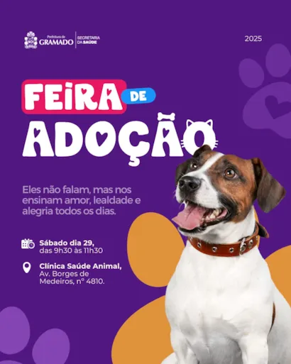 Feira de Adoção de Pets em Gramado