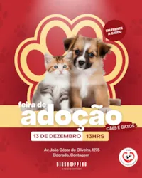 Feira de Adoção de Cães e Gatos no Big Shopping