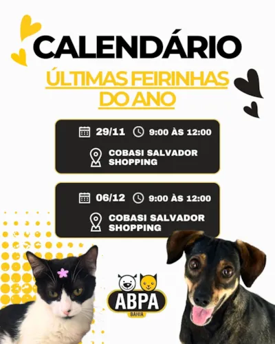 Participe das Feiras de Adoção da ABPA Bahia! Encontre seu novo amigo e ajude os animais. Doações de ração e sachês são bem-vindas.