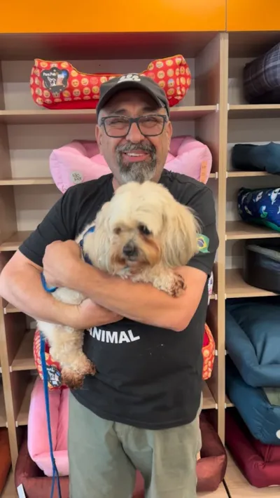 Grande Evento de Adoção de Animais