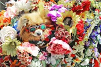 Floral para Cachorros: Ciência, Emoção e Cura Natural