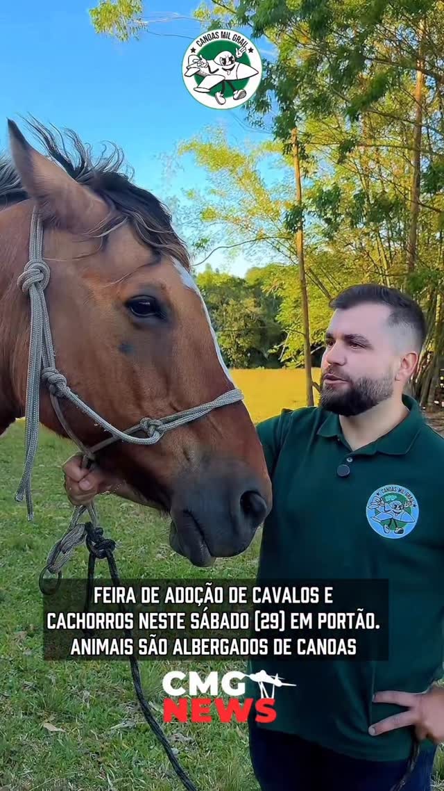 Participe da feira de adoção de cavalos e cachorros em Portão neste sábado! Animais castrados, vacinados e com exames em dia esperam por um lar. Saiba mais!