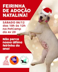 Participe da Feirinha de Adoção Natalina no dia 06/12, das 10h às 12h, na PetCamp. Adote um amigo e dê uma chance a novos resgates. Esperamos você!
