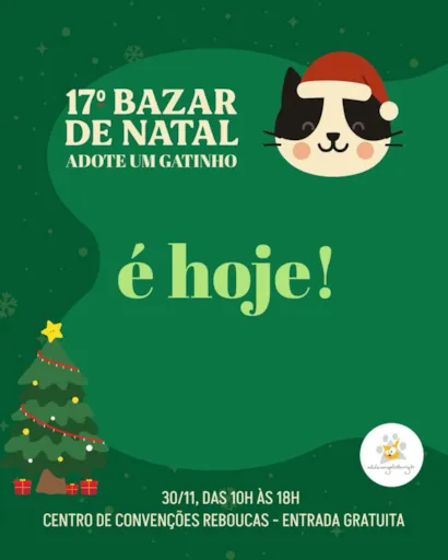 Participe do 17º Bazar de Natal 'Adote um Gatinho' hoje! Encontre presentes, comidinhas e ajude os felinos. Centro de Convenções Rebouças, das 10h às 18h.