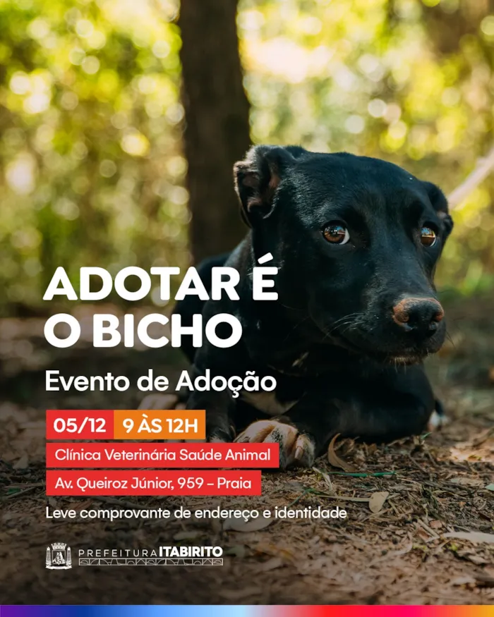 Participe da nossa Feira de Adoção e encontre um amigo de quatro patas. Um gesto de amor que transforma vidas! Leve documento com foto e comprovante de endereço.