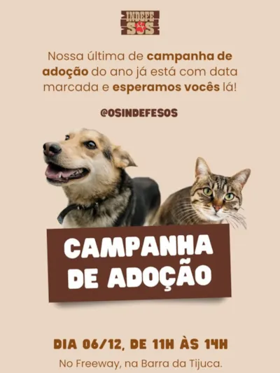Campanha de Adoção de Animais da ONG Indefesos