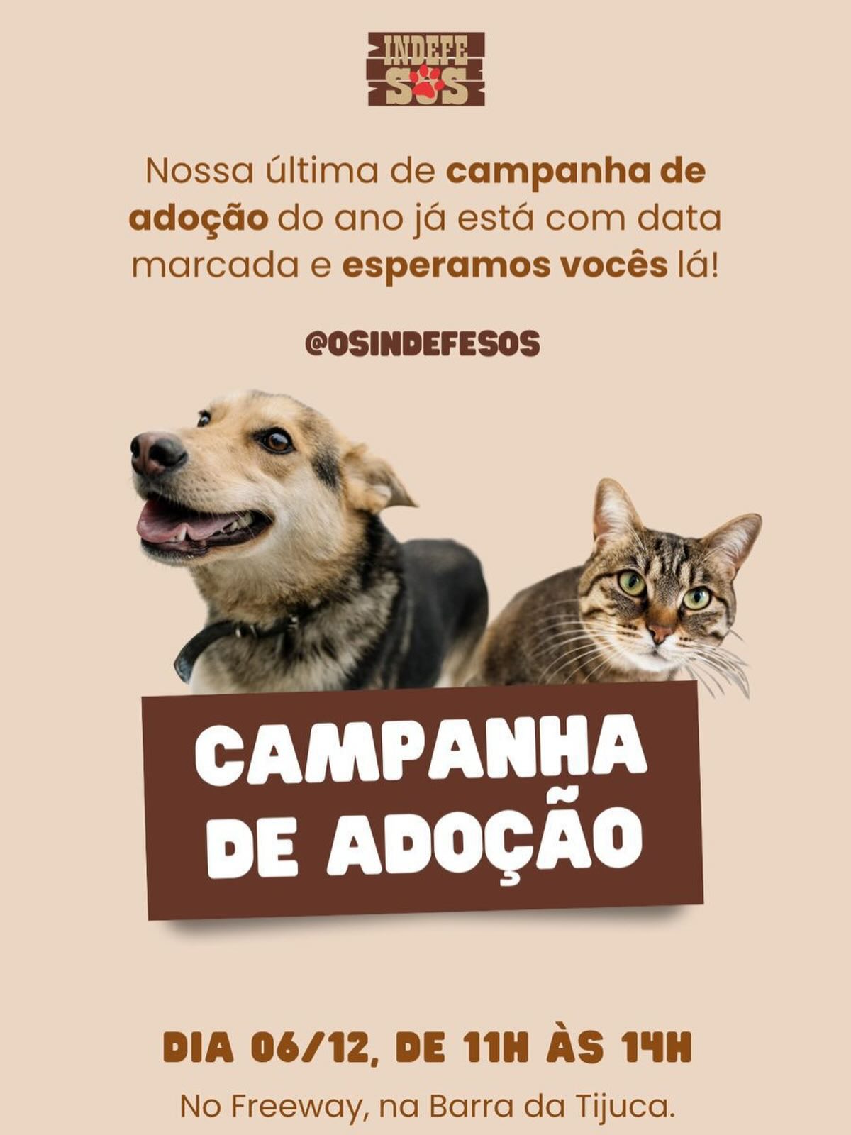 Participe da última campanha de adoção de animais do ano da ONG Indefesos no dia 06/12, das 11h às 14h, no Freeway, Barra da Tijuca.
