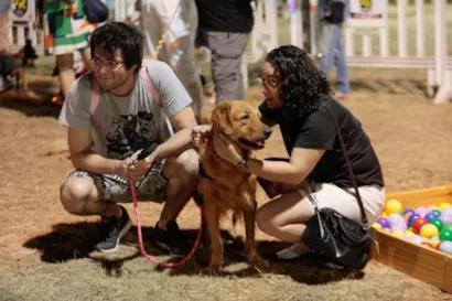 Rolê dos Pets - Edição de Natal: Ação Social, Serviços Gratuitos e Adoção Responsável
