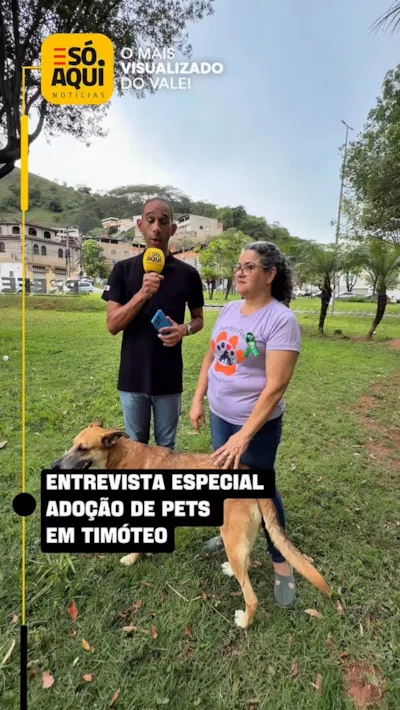 3º Evento de Adoção de Pets em Timóteo
